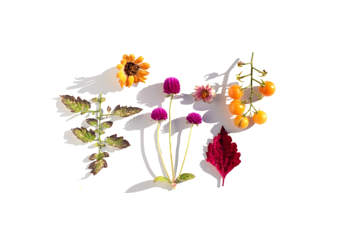 Skinglowroutine editorial team and ingredients